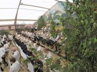 IMG_2466a-2-G0069840-2