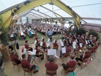 IMG_2639a-2-G0160031-2