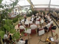 IMG_2593-2-G0119967-2